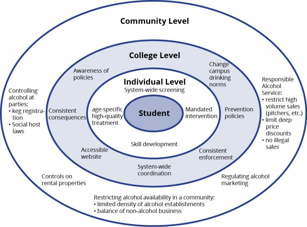 Image of the college systems model
